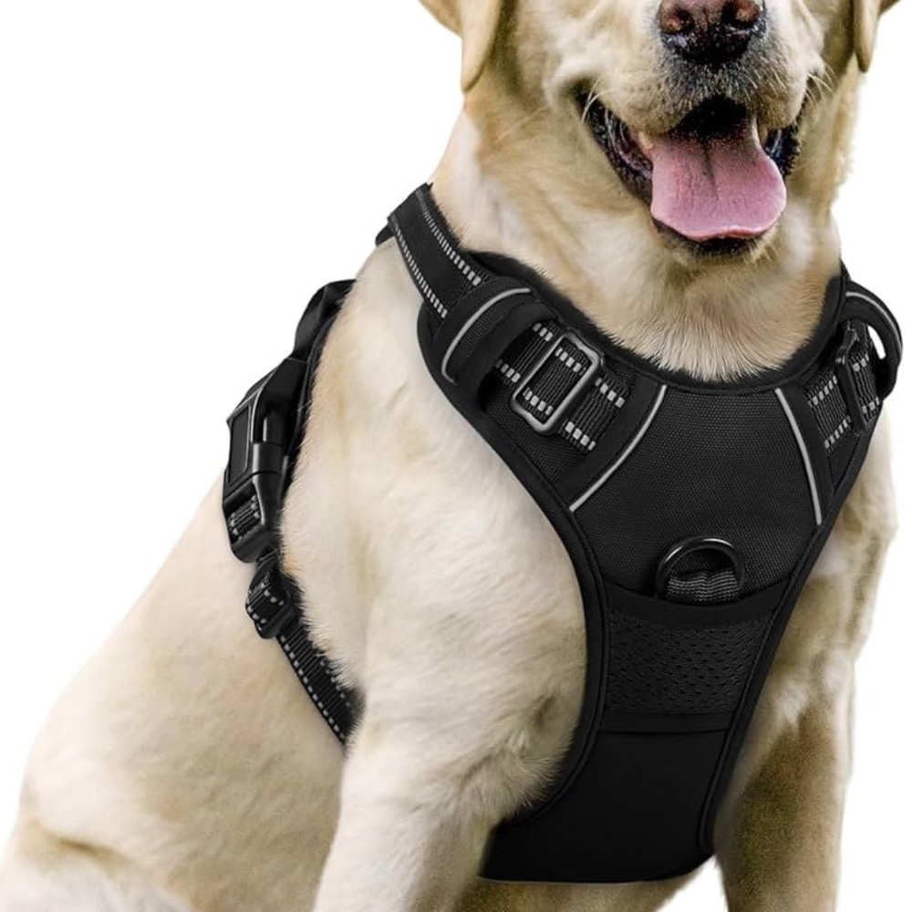 New Adjustable Dog Harness with Leash - Black